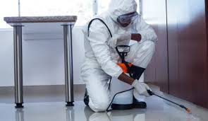 مكافحة حشرات وتعقيم